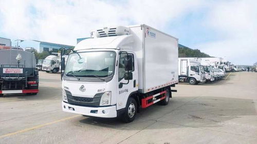 輕型貨車(chē)運(yùn)輸冷藏保鮮與危險(xiǎn)貨物 是否需要兩證及普通貨物道路運(yùn)輸解析