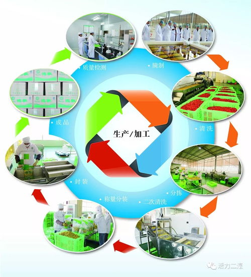 組織會員單位參加二連浩特邊民互市貿易區商品展銷會，推動商品零售貿易發展
